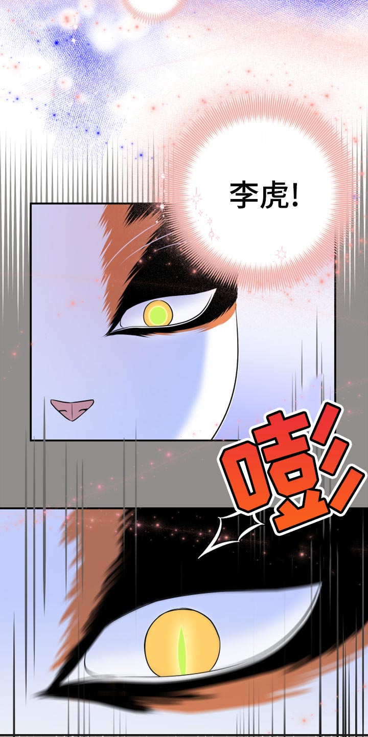 《灵猫欧米伽》漫画最新章节第64章：【第二季】恢复意识免费下拉式在线观看章节第【3】张图片