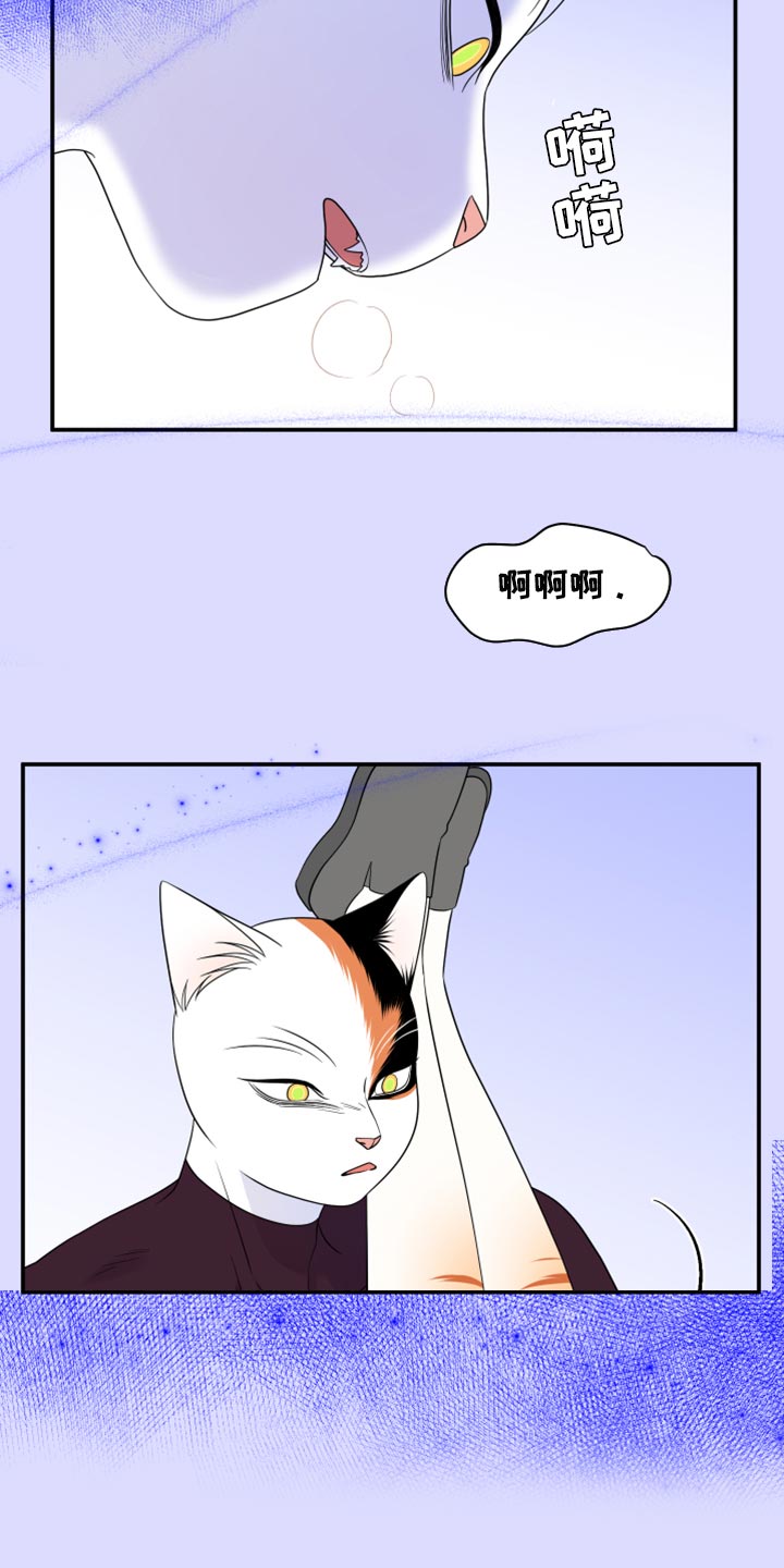 《灵猫欧米伽》漫画最新章节第64章：【第二季】恢复意识免费下拉式在线观看章节第【9】张图片