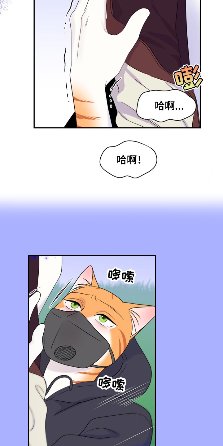 《灵猫欧米伽》漫画最新章节第64章：【第二季】恢复意识免费下拉式在线观看章节第【11】张图片