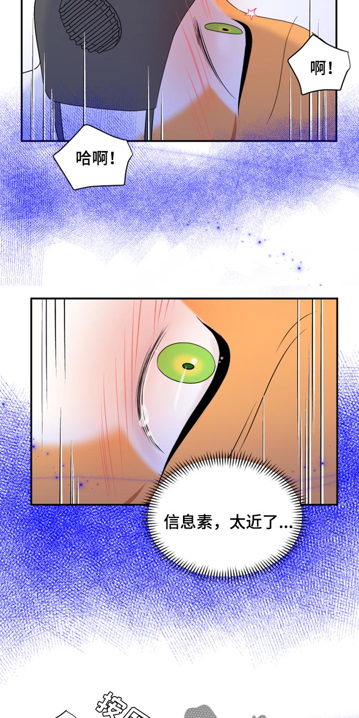 《灵猫欧米伽》漫画最新章节第64章：【第二季】恢复意识免费下拉式在线观看章节第【13】张图片