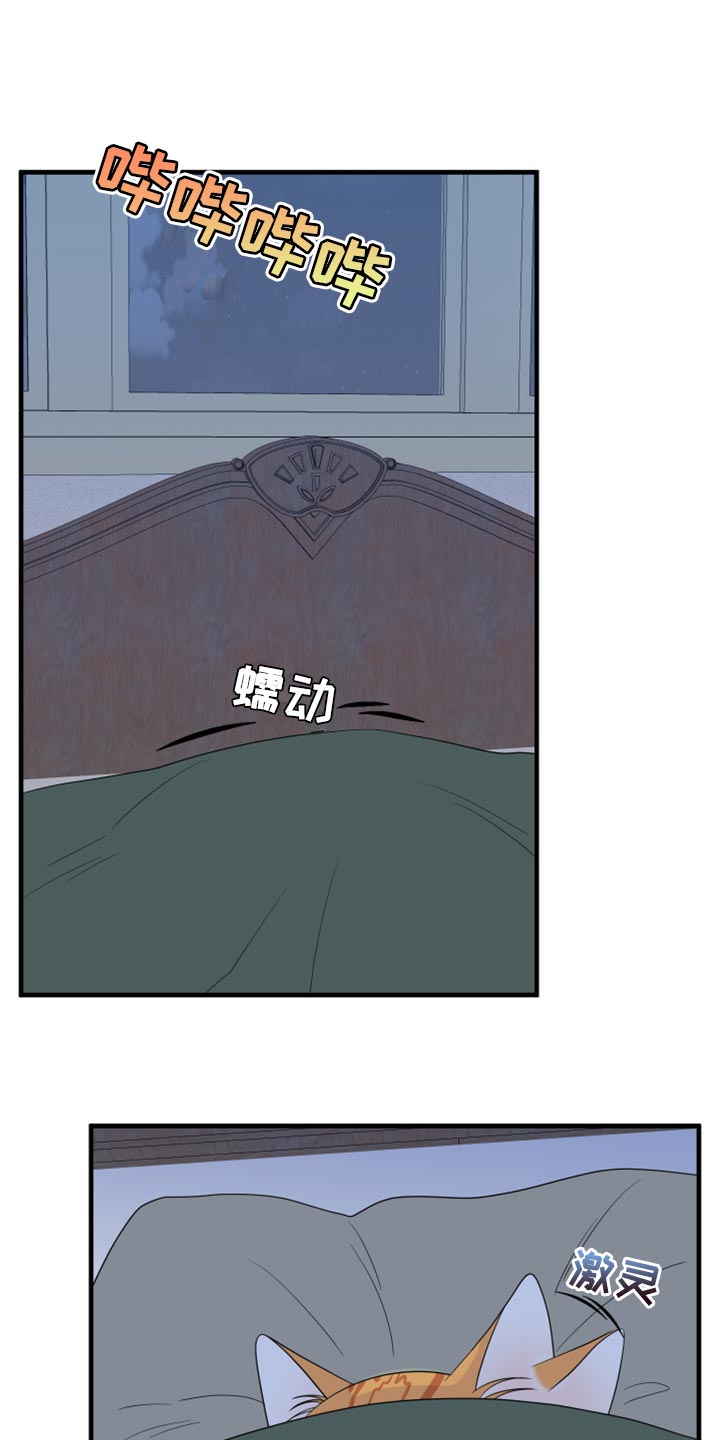 灵猫欧米伽-第66章：【第二季】你可以放心了全彩韩漫标签