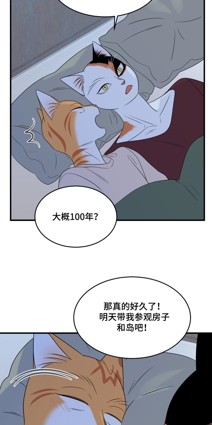 《灵猫欧米伽》漫画最新章节第67章：【第二季】钓鱼免费下拉式在线观看章节第【19】张图片