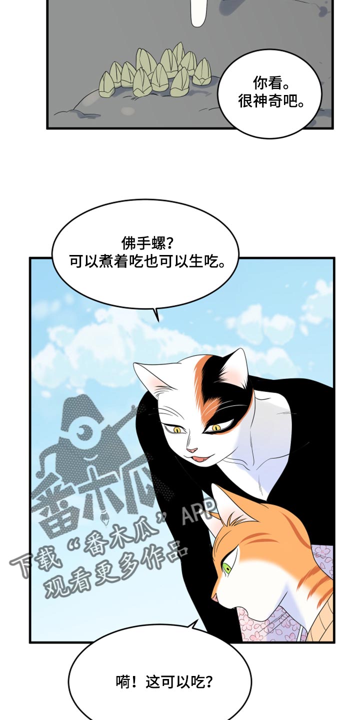 《灵猫欧米伽》漫画最新章节第67章：【第二季】钓鱼免费下拉式在线观看章节第【4】张图片