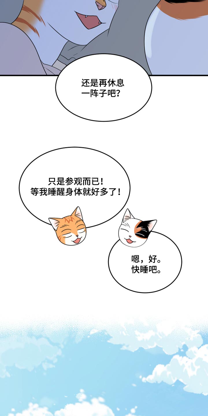 《灵猫欧米伽》漫画最新章节第67章：【第二季】钓鱼免费下拉式在线观看章节第【18】张图片