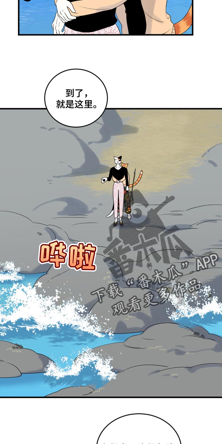 《灵猫欧米伽》漫画最新章节第67章：【第二季】钓鱼免费下拉式在线观看章节第【8】张图片