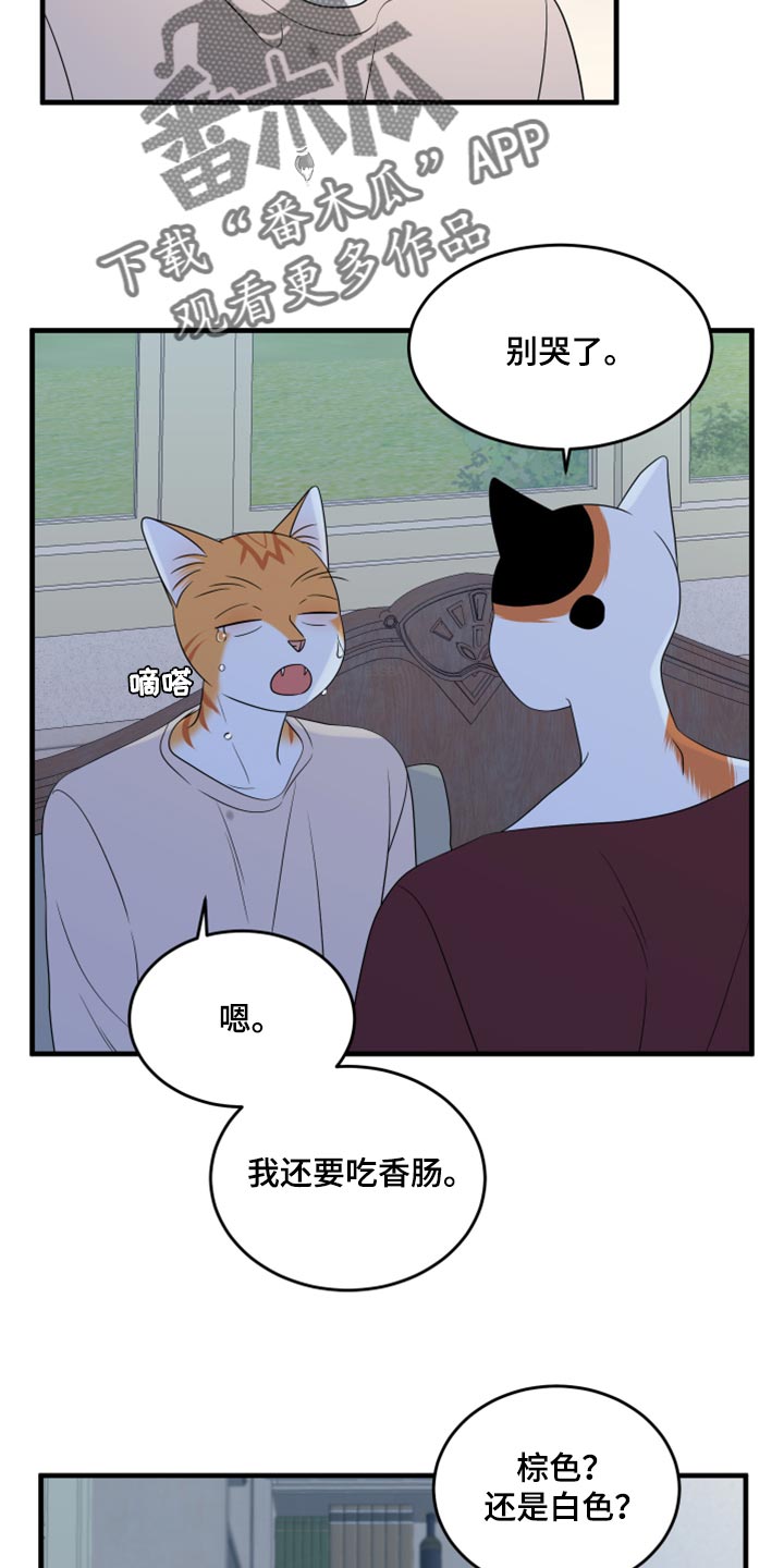 《灵猫欧米伽》漫画最新章节第67章：【第二季】钓鱼免费下拉式在线观看章节第【26】张图片