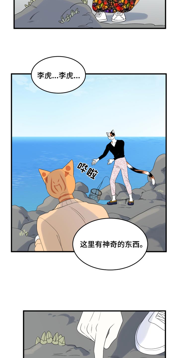 《灵猫欧米伽》漫画最新章节第67章：【第二季】钓鱼免费下拉式在线观看章节第【5】张图片