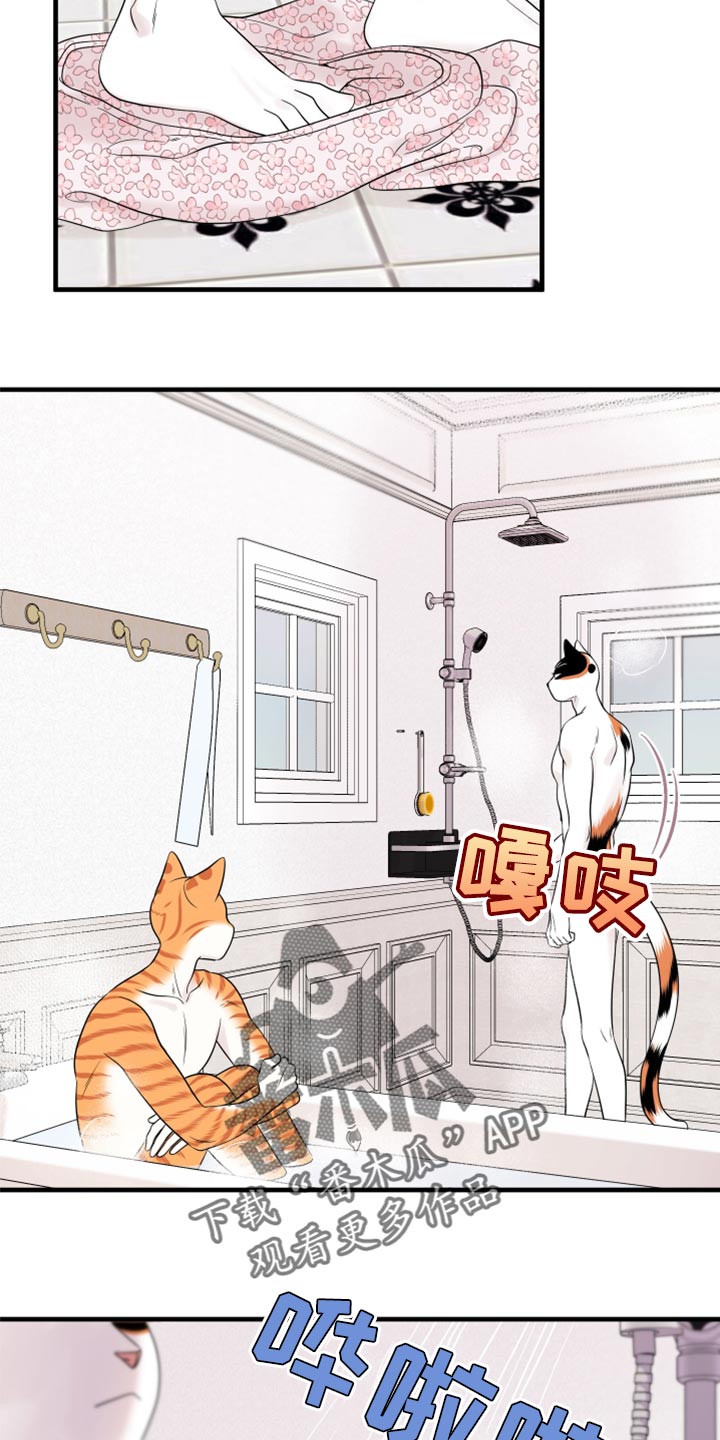 《灵猫欧米伽》漫画最新章节第69章：【第二季】责任与义务免费下拉式在线观看章节第【11】张图片