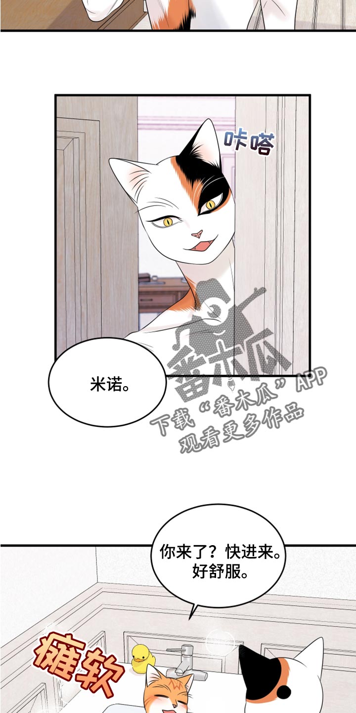 《灵猫欧米伽》漫画最新章节第69章：【第二季】责任与义务免费下拉式在线观看章节第【15】张图片