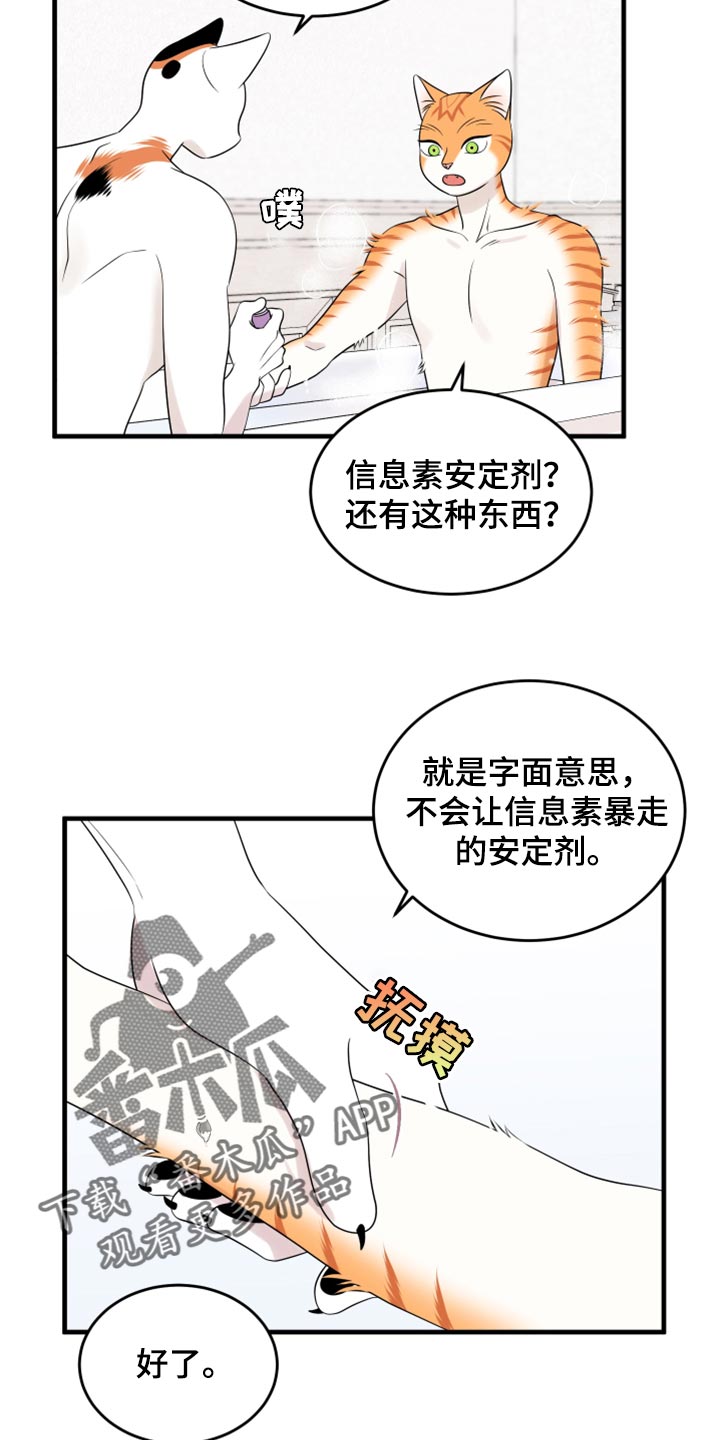 《灵猫欧米伽》漫画最新章节第69章：【第二季】责任与义务免费下拉式在线观看章节第【13】张图片