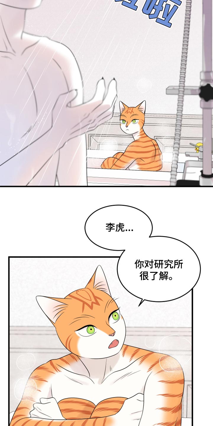 《灵猫欧米伽》漫画最新章节第69章：【第二季】责任与义务免费下拉式在线观看章节第【10】张图片