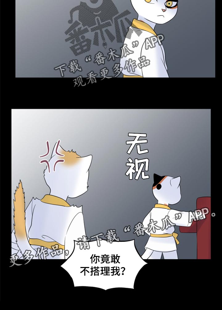 《灵猫欧米伽》漫画最新章节第69章：【第二季】责任与义务免费下拉式在线观看章节第【1】张图片