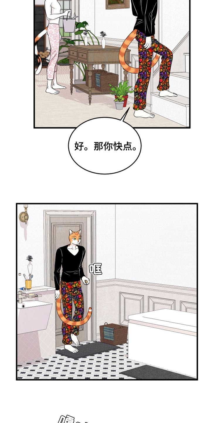 《灵猫欧米伽》漫画最新章节第69章：【第二季】责任与义务免费下拉式在线观看章节第【20】张图片