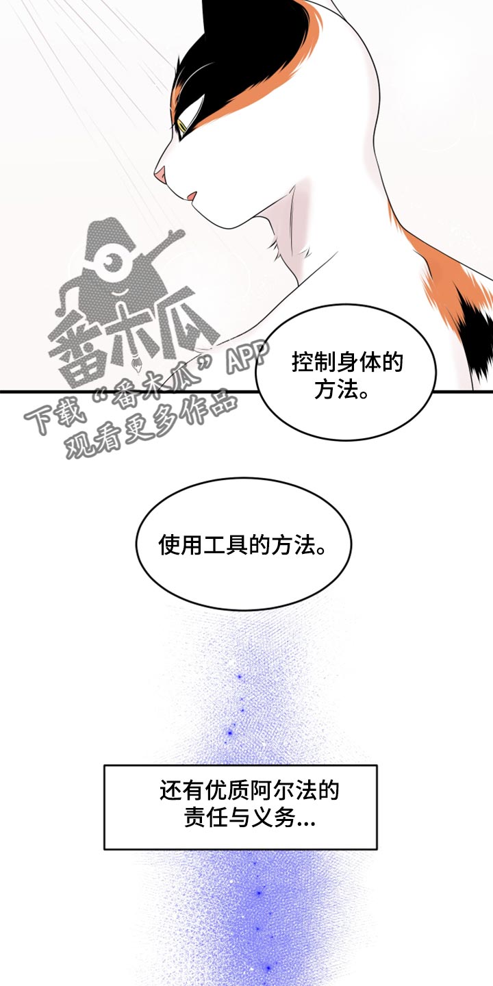 《灵猫欧米伽》漫画最新章节第69章：【第二季】责任与义务免费下拉式在线观看章节第【6】张图片