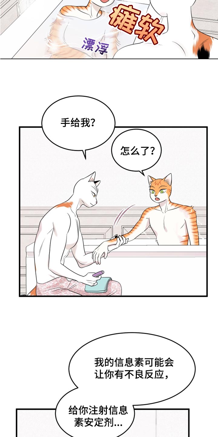 《灵猫欧米伽》漫画最新章节第69章：【第二季】责任与义务免费下拉式在线观看章节第【14】张图片