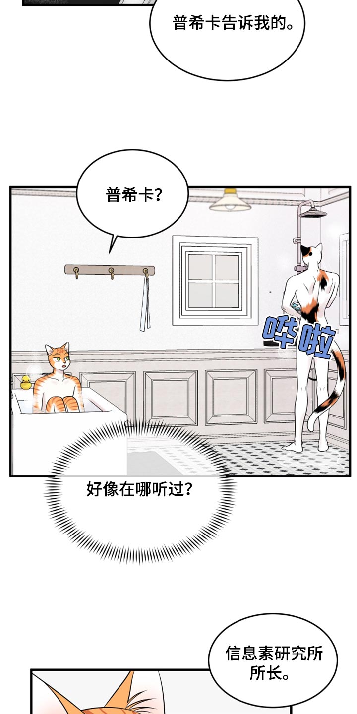 《灵猫欧米伽》漫画最新章节第69章：【第二季】责任与义务免费下拉式在线观看章节第【8】张图片