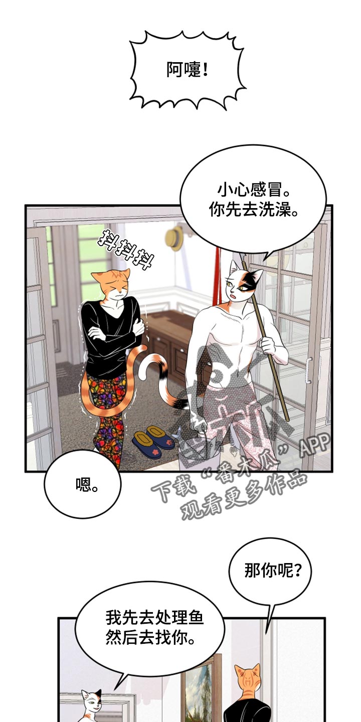 《灵猫欧米伽》漫画最新章节第69章：【第二季】责任与义务免费下拉式在线观看章节第【21】张图片