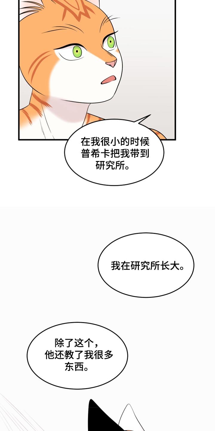 《灵猫欧米伽》漫画最新章节第69章：【第二季】责任与义务免费下拉式在线观看章节第【7】张图片