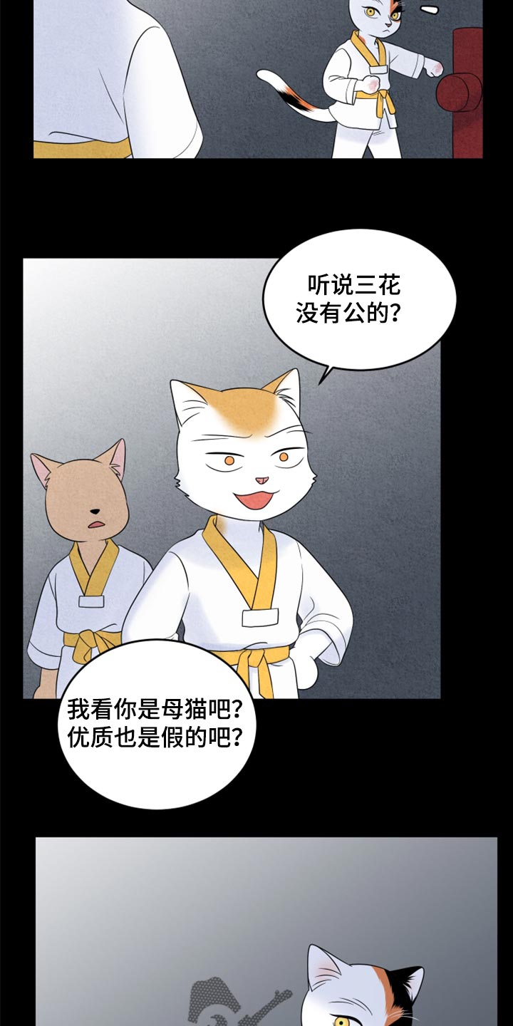 《灵猫欧米伽》漫画最新章节第69章：【第二季】责任与义务免费下拉式在线观看章节第【2】张图片