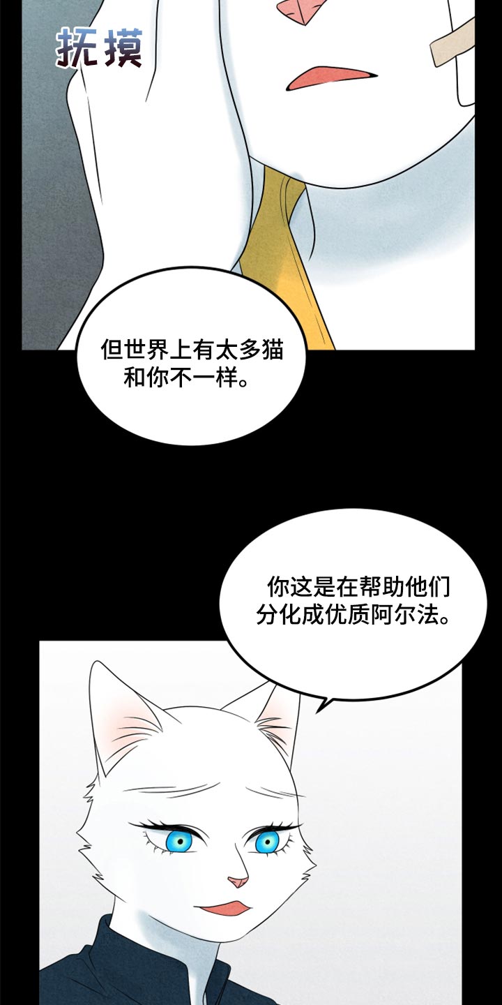 《灵猫欧米伽》漫画最新章节第70章：【第二季】我想放弃免费下拉式在线观看章节第【4】张图片