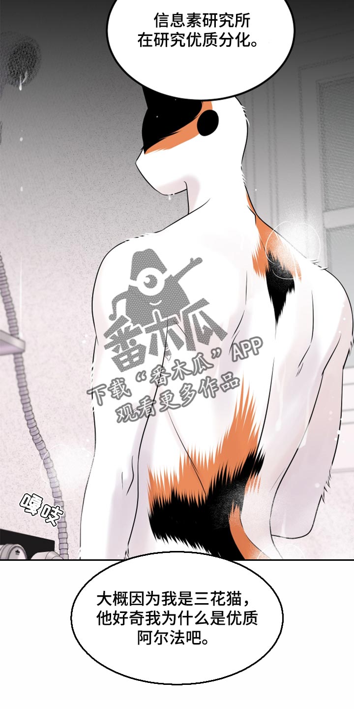 《灵猫欧米伽》漫画最新章节第70章：【第二季】我想放弃免费下拉式在线观看章节第【2】张图片