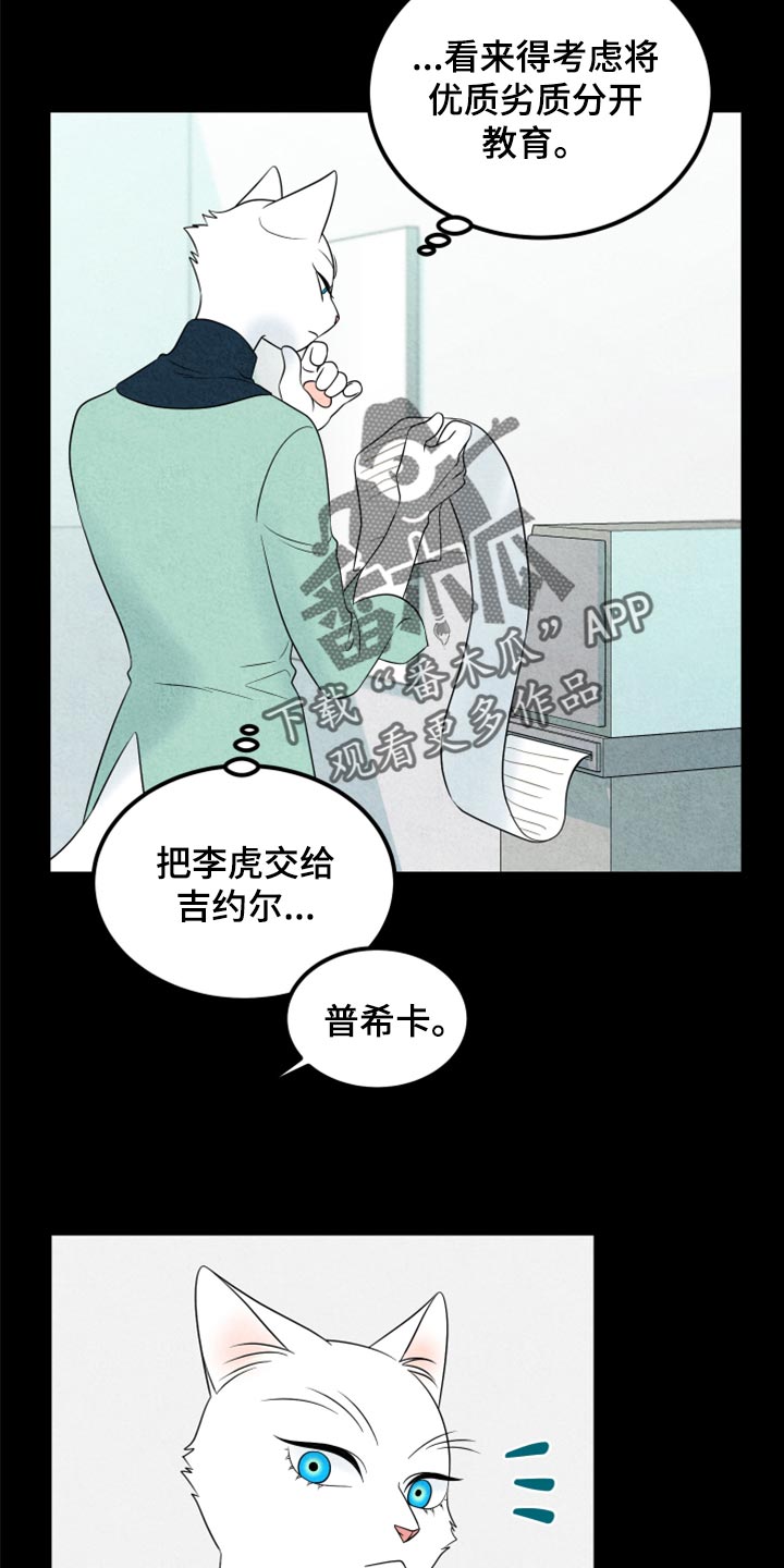 《灵猫欧米伽》漫画最新章节第70章：【第二季】我想放弃免费下拉式在线观看章节第【9】张图片