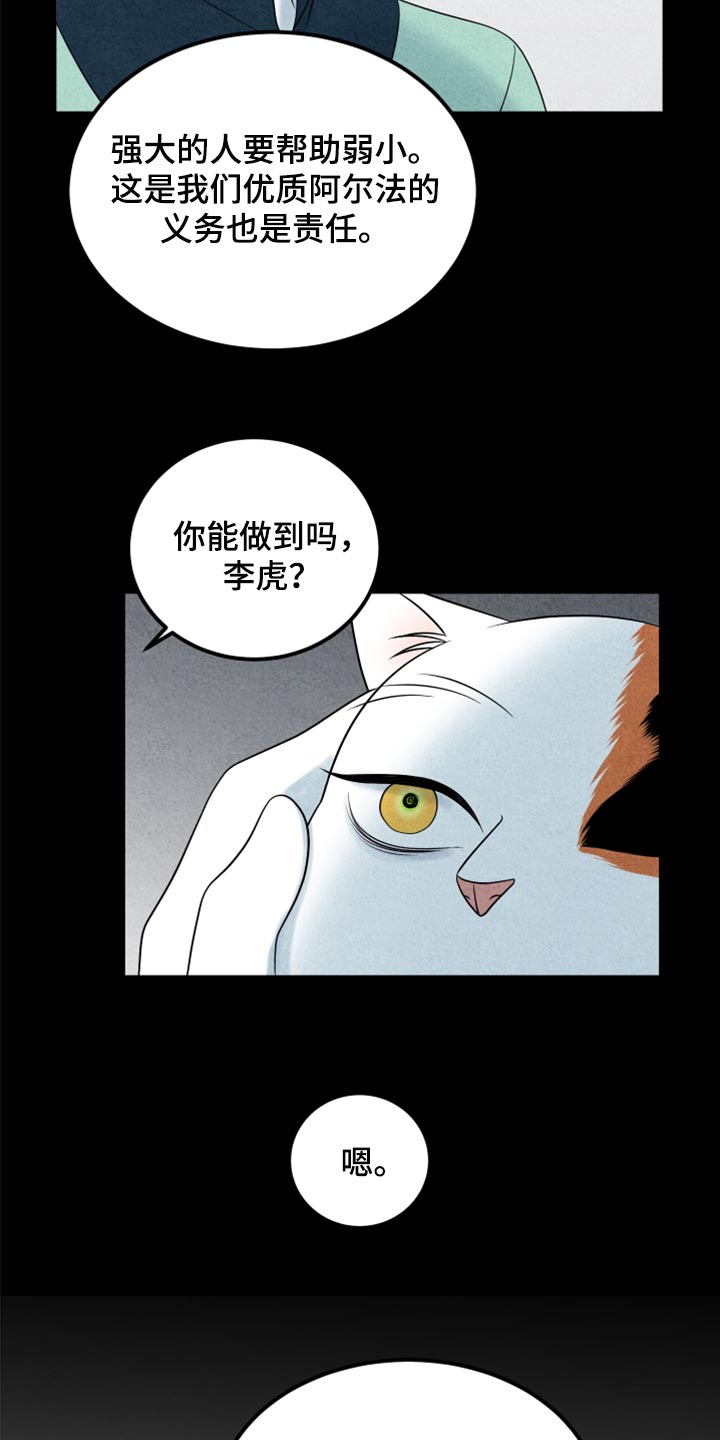 《灵猫欧米伽》漫画最新章节第70章：【第二季】我想放弃免费下拉式在线观看章节第【3】张图片