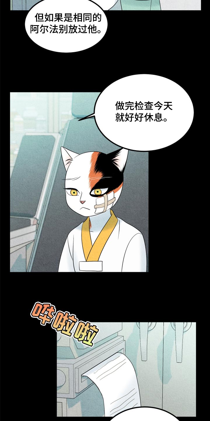 《灵猫欧米伽》漫画最新章节第70章：【第二季】我想放弃免费下拉式在线观看章节第【10】张图片