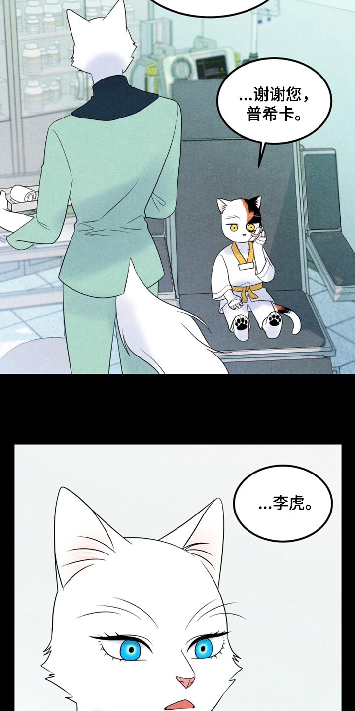 《灵猫欧米伽》漫画最新章节第70章：【第二季】我想放弃免费下拉式在线观看章节第【14】张图片