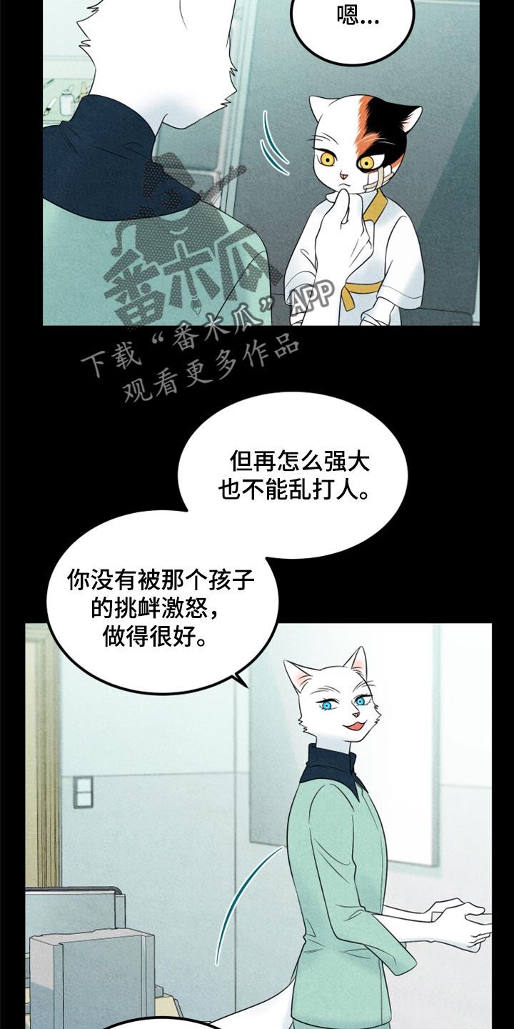 《灵猫欧米伽》漫画最新章节第70章：【第二季】我想放弃免费下拉式在线观看章节第【11】张图片