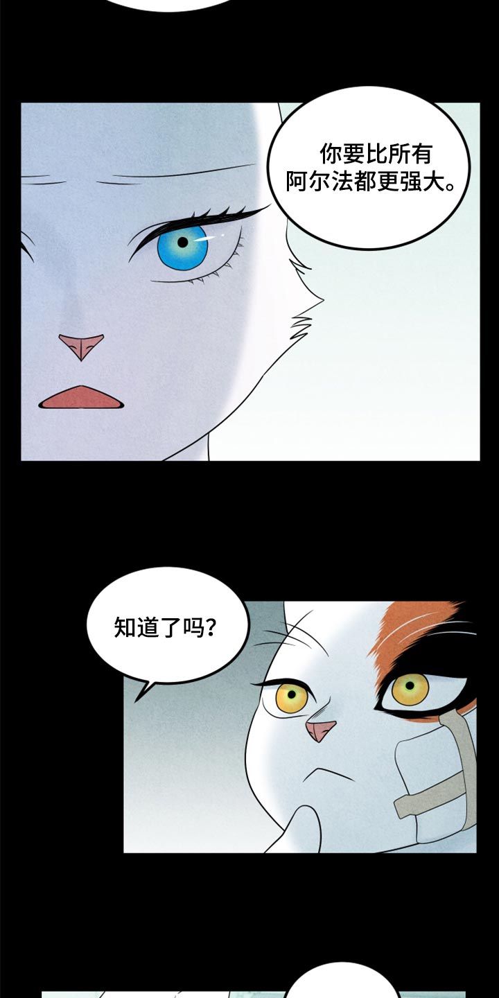 《灵猫欧米伽》漫画最新章节第70章：【第二季】我想放弃免费下拉式在线观看章节第【12】张图片