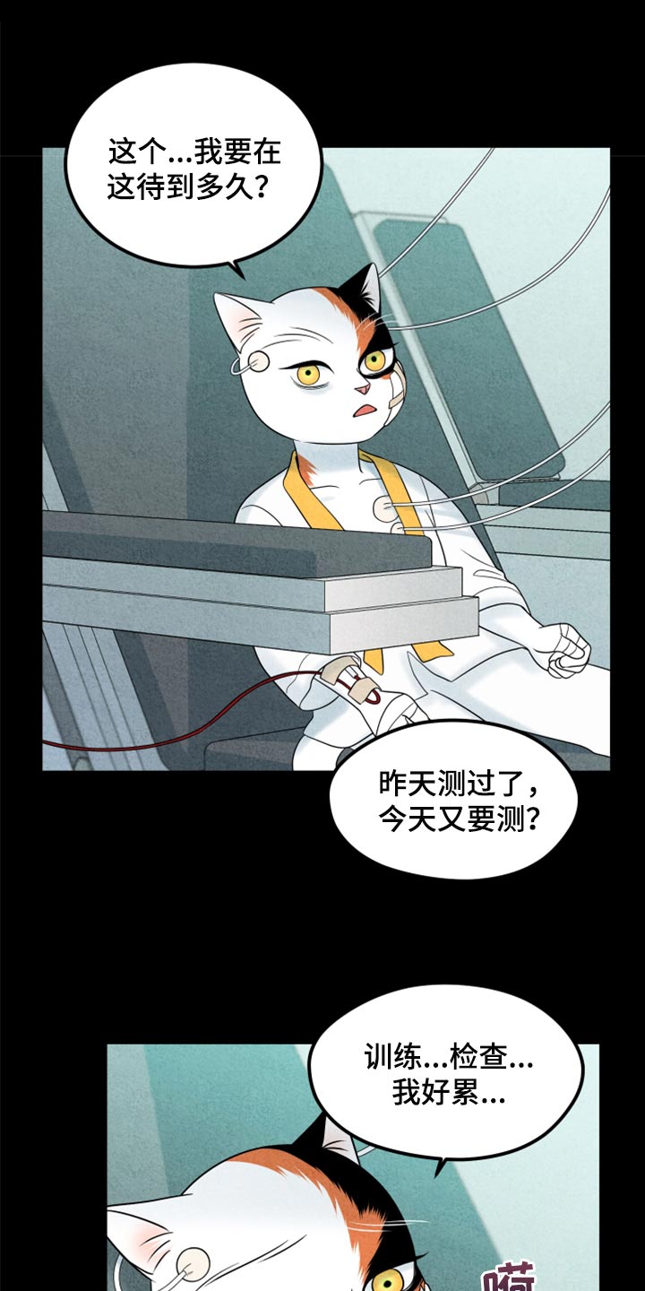 《灵猫欧米伽》漫画最新章节第70章：【第二季】我想放弃免费下拉式在线观看章节第【7】张图片