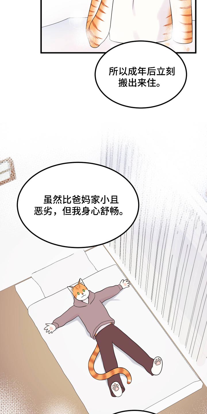 《灵猫欧米伽》漫画最新章节第71章：【第二季】撒娇免费下拉式在线观看章节第【9】张图片