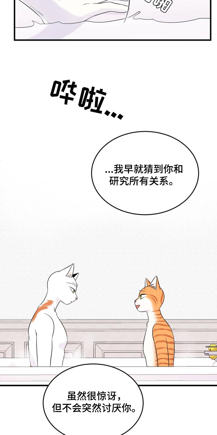 《灵猫欧米伽》漫画最新章节第71章：【第二季】撒娇免费下拉式在线观看章节第【13】张图片