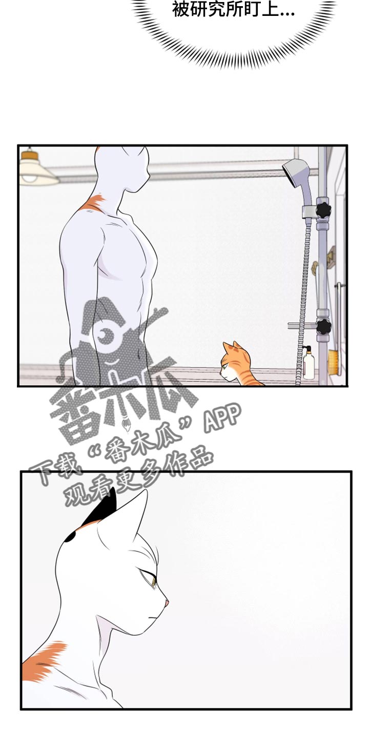 《灵猫欧米伽》漫画最新章节第71章：【第二季】撒娇免费下拉式在线观看章节第【16】张图片