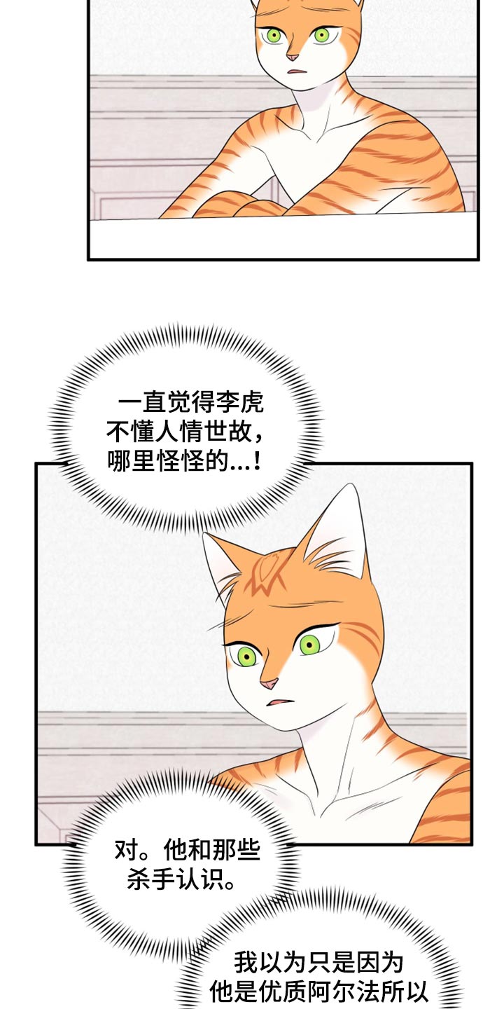 《灵猫欧米伽》漫画最新章节第71章：【第二季】撒娇免费下拉式在线观看章节第【17】张图片