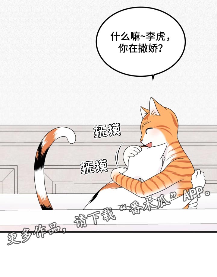 《灵猫欧米伽》漫画最新章节第71章：【第二季】撒娇免费下拉式在线观看章节第【1】张图片