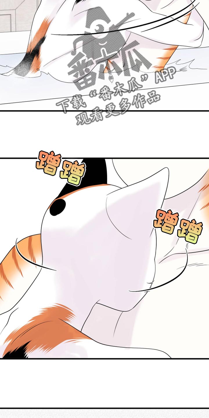 《灵猫欧米伽》漫画最新章节第71章：【第二季】撒娇免费下拉式在线观看章节第【2】张图片