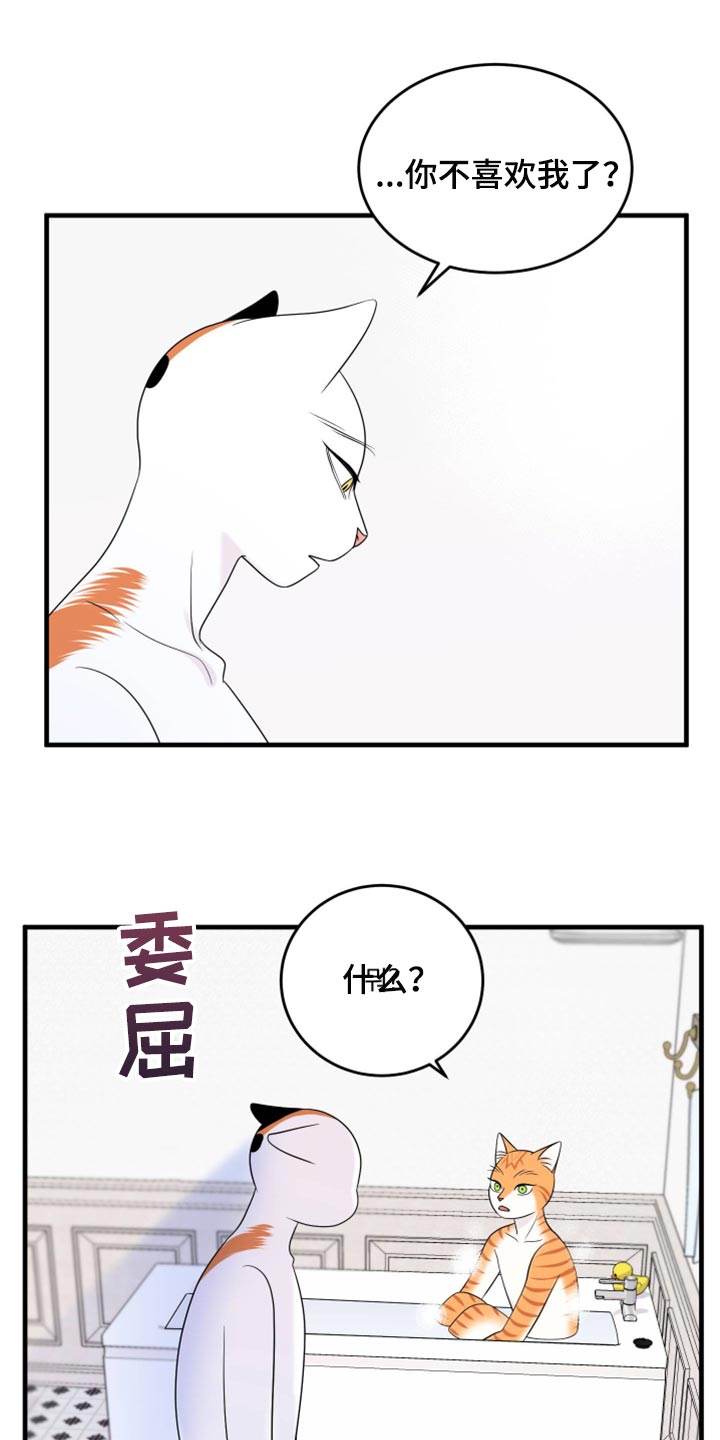 《灵猫欧米伽》漫画最新章节第71章：【第二季】撒娇免费下拉式在线观看章节第【15】张图片