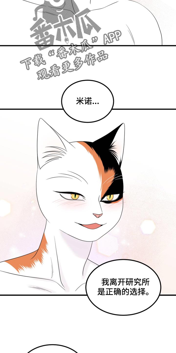 《灵猫欧米伽》漫画最新章节第71章：【第二季】撒娇免费下拉式在线观看章节第【4】张图片