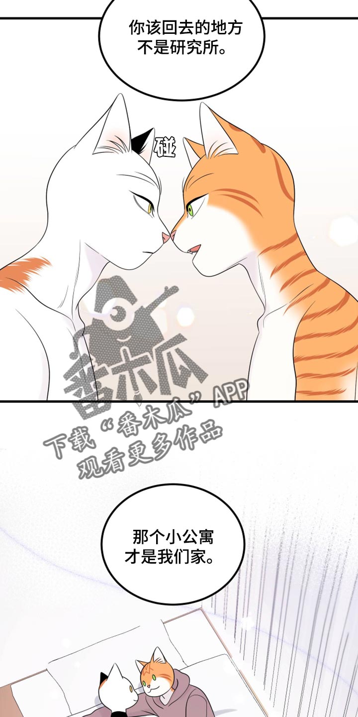 《灵猫欧米伽》漫画最新章节第71章：【第二季】撒娇免费下拉式在线观看章节第【7】张图片