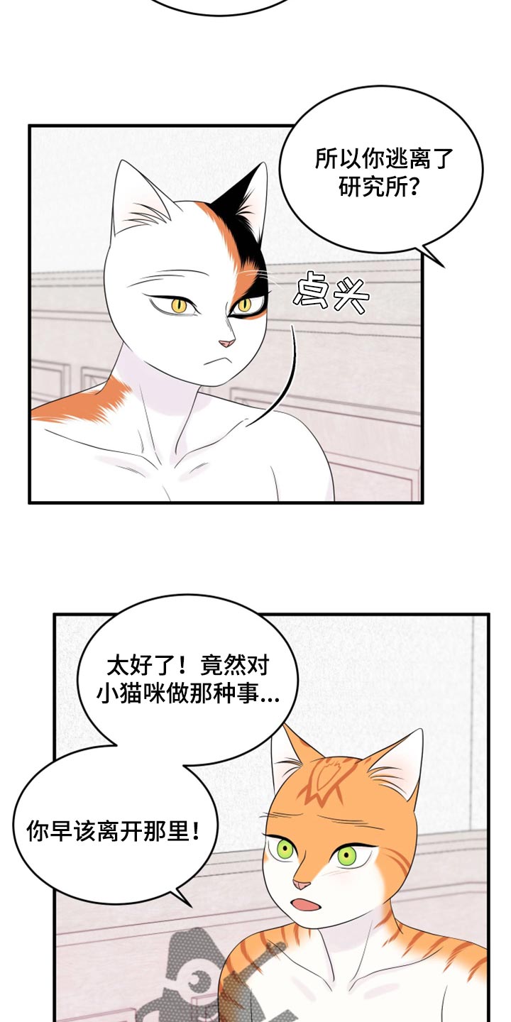 《灵猫欧米伽》漫画最新章节第71章：【第二季】撒娇免费下拉式在线观看章节第【12】张图片