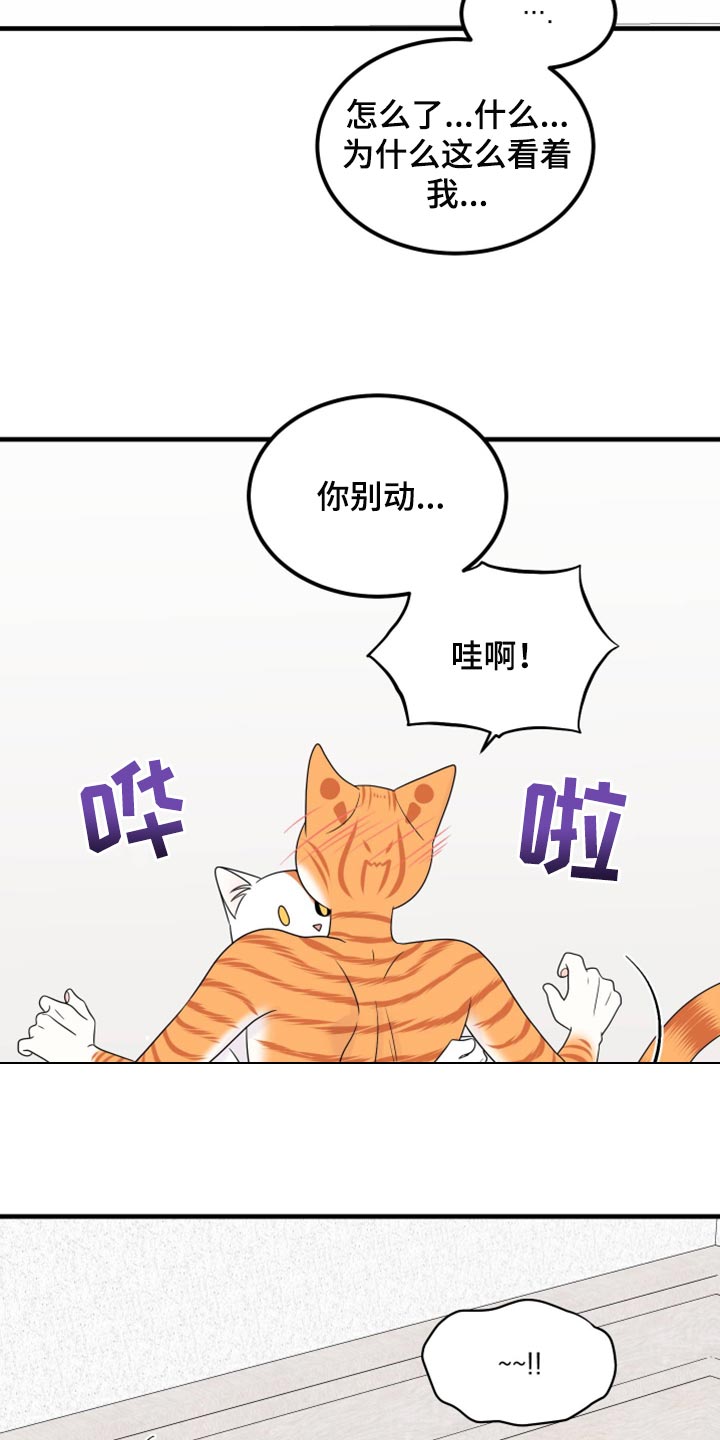 灵猫欧米伽-第72章：【第二季】这是折磨啊全彩韩漫标签