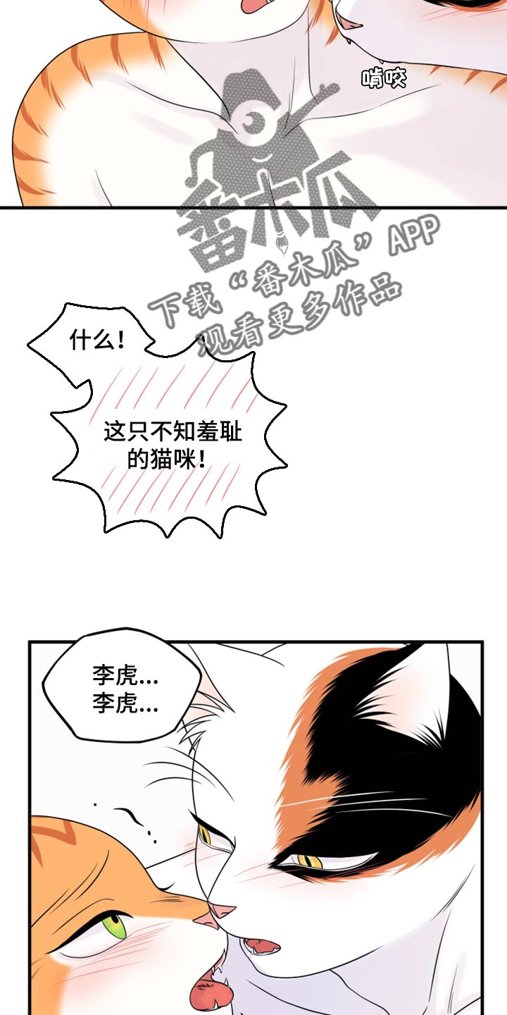 《灵猫欧米伽》漫画最新章节第72章：【第二季】这是折磨啊免费下拉式在线观看章节第【6】张图片