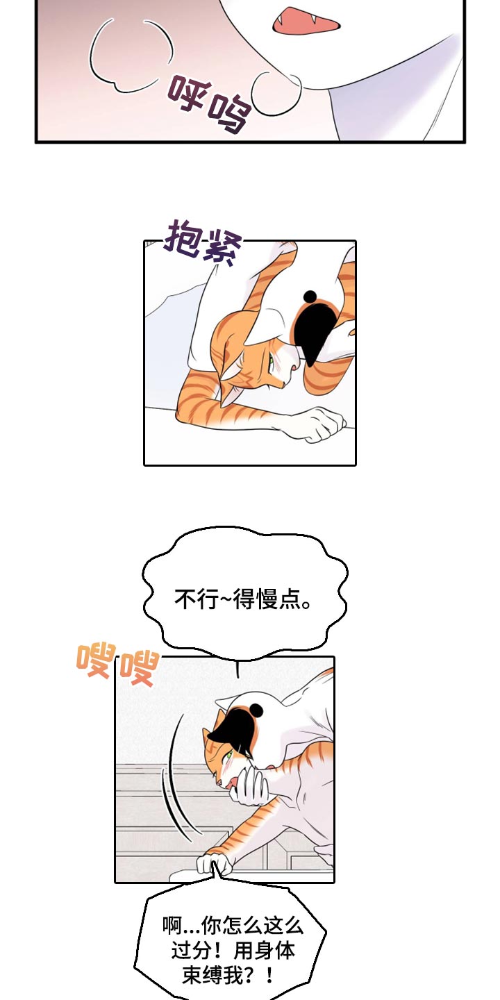 《灵猫欧米伽》漫画最新章节第72章：【第二季】这是折磨啊免费下拉式在线观看章节第【8】张图片