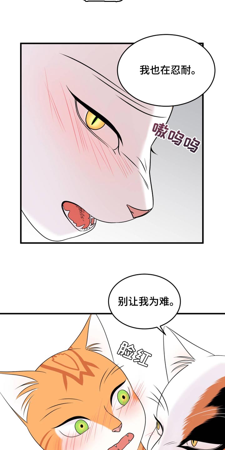 《灵猫欧米伽》漫画最新章节第72章：【第二季】这是折磨啊免费下拉式在线观看章节第【7】张图片