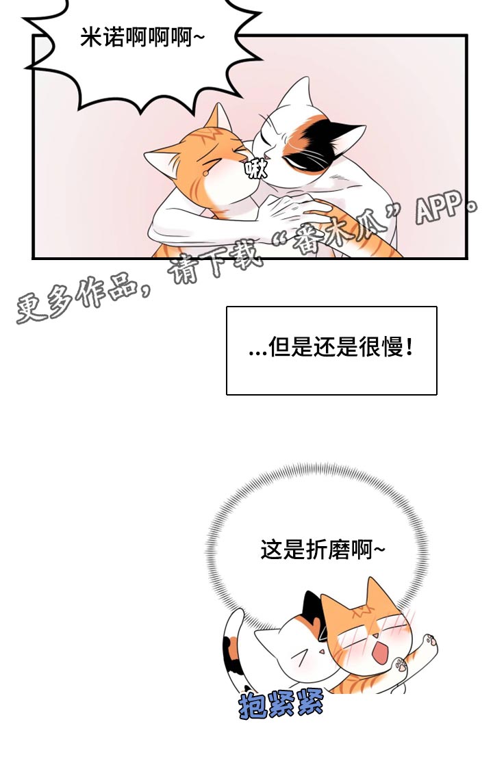 《灵猫欧米伽》漫画最新章节第72章：【第二季】这是折磨啊免费下拉式在线观看章节第【1】张图片