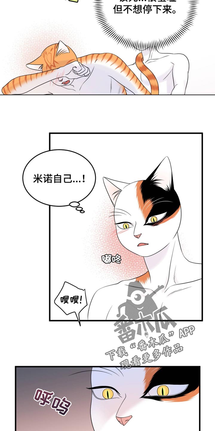 《灵猫欧米伽》漫画最新章节第72章：【第二季】这是折磨啊免费下拉式在线观看章节第【9】张图片