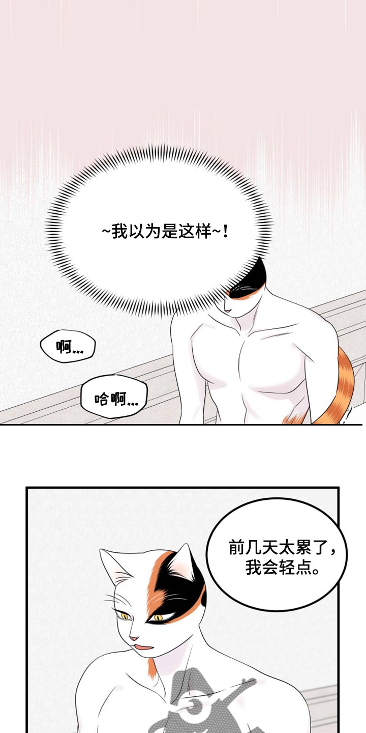 《灵猫欧米伽》漫画最新章节第72章：【第二季】这是折磨啊免费下拉式在线观看章节第【13】张图片