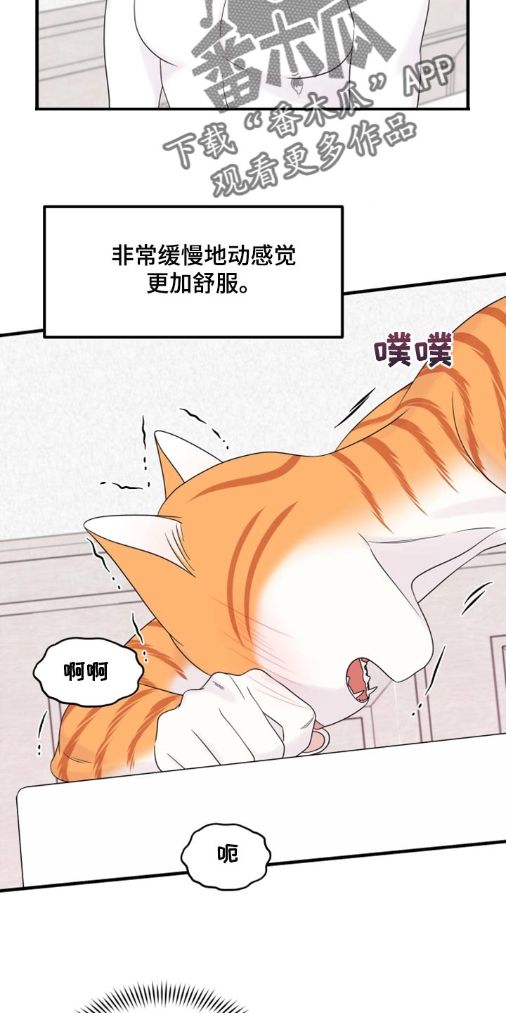 《灵猫欧米伽》漫画最新章节第72章：【第二季】这是折磨啊免费下拉式在线观看章节第【12】张图片